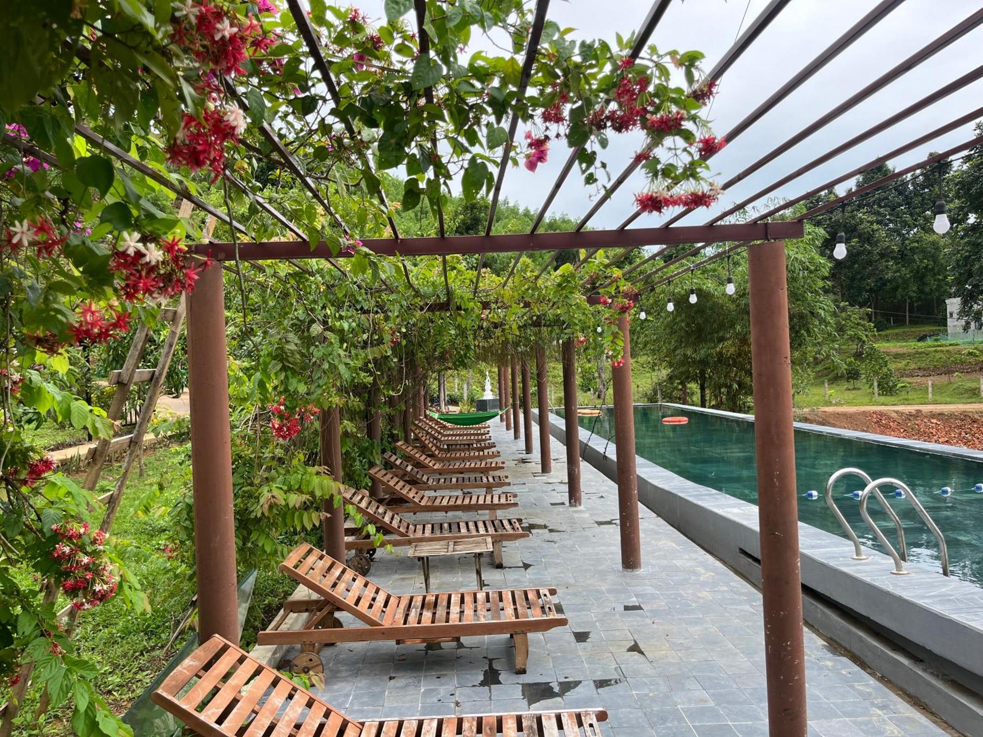 Nguyen Shack Retreat Resort Фонгня Экстерьер фото