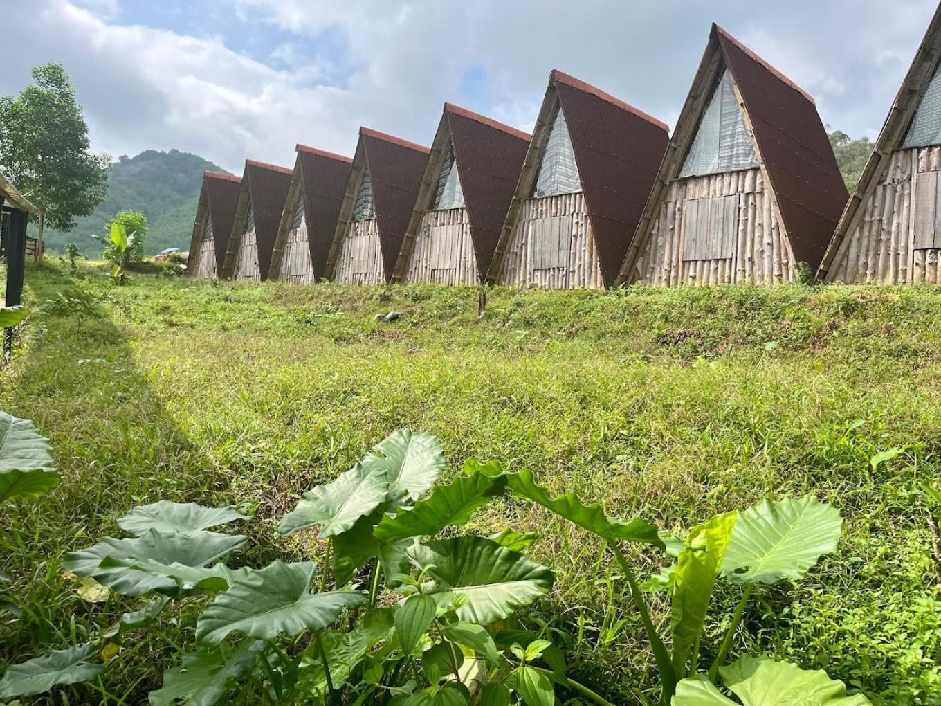 Nguyen Shack Retreat Resort Фонгня Экстерьер фото